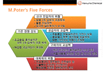 한화케미칼 [Hanwha Chemical]경영전략-14