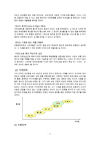 UAE에서의 손목시계 마케팅 전략-11