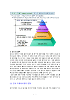 현대 상트로의 인도시장 진출 성공전략-2