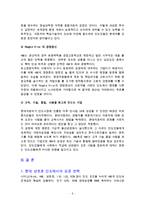 현대 상트로의 인도시장 진출 성공전략-6