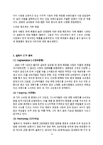 아모레퍼시픽 설화수 제품분석과 설화수 중국진출 마케팅 SWOT,STP,4P전략분석및 설화수 향후전망분석-10