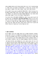 아모레퍼시픽 설화수 제품분석과 설화수 중국진출 마케팅 SWOT,STP,4P전략분석및 설화수 향후전망분석-17