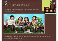 카페베네 기업분석과 카페베네 SWOT분석및 마케팅전략분석과 향후방향제안 PPT-13