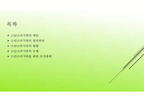 소년소녀가족 PPT(소년소녀가족발생원인, 소년소녀가족현황, 소년소녀가족문제, 소년소녀가족복지대책) 프레젠테이션-2