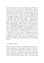 홈플러스 Homeplus 기업분석과 글로벌 경영전략분석과 홈플러스 마케팅 SWOT,STP,4P전략과 홈플러스 다양한 마케팅사례분석-15