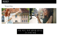 삼성(samsung) vs 소니(sony) 미러리스 카메라사례 분석(mirrorless camera market case)-16