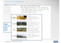코레일 KORAIL 기업분석과 코레일 KTX 현 문제점분석및 해결위한 마케팅전략 방안연구 PPT-19