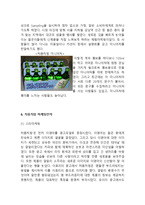 처음처럼 브랜드분석과 SWOT분석/ 처음처럼 마케팅사례연구/ 처음처럼 새로운 마케팅전략 제안-13