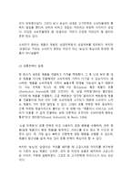 강글리오커피 제품분석과 마케팅사례분석및 강글리오 마케팅실패요인분석과 강글리오 새로운 마케팅전략 제안-11