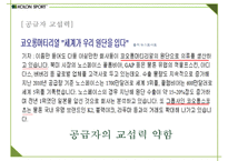 코오롱스포츠 브랜드분석과 SWOT분석및 코오롱스포츠 향후 마케팅전략 방안제안 PPT-17