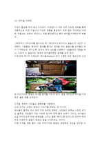 레드불 브랜드분석과 SWOT분석/ 레드불 마케팅전략과 4P,광고전략연구/ 레드불 향후전망-13