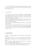 레드불 브랜드분석과 SWOT분석/ 레드불 마케팅전략과 4P,광고전략연구/ 레드불 향후전망-14