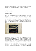 카누 KANU 제품분석과 카누 마케팅 SWOT,STP,4P전략분석및 카누 새로운 마케팅전략 제안과 나의의견정리-10