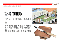 사무라이(はらきり)의 이해(사무라이 정신역사특권기원현대에 발현)-15