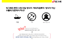 빙그레(Binggrae) 한류(韓流) 과자음료 [바나나우유 꽃게랑 메로나]성공전략 및 사례분석-13