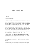 사회복지실천의 목표-1