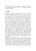 [2016최신A+자료](정보화 세계화로 인한 나의삶의변화)정보화 세계화가우리삶에끼친영향, 정보화와세계화에 관련한 레포트]정보화세계화레포트-3