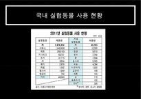 동물실험 찬반 논의-8