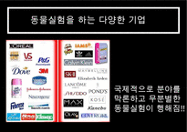 동물실험 찬반 논의-9