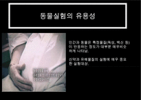 동물실험 찬반 논의-10