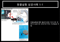 동물실험 찬반 논의-11