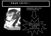 동물실험 찬반 논의-13