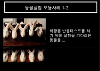 동물실험 찬반 논의-14