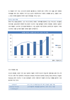 인도 화장품 산업 진출 전략-3