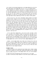 팀프로젝트 보고서 - 국내자동차보험의 중국시장진출 및 전략-15