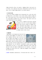 [부모교육] 태내기 및 영아기 발달 특성과 중요성, 태내기 및 영아기 자녀를 둔 바람직한 부모의 역할[출처표기,각주표기]-16