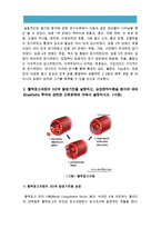 [기초간호과학 2016] 1.면역에서 과민반응이 무엇을 의미하는지 설명하고 4가지 과민반응별로 발생기전과 사례 2.종양의 발생단계, 종양의 원인, 종양이 인체에 미치는영향 국소영향 전신영향 3.혈액응고과정의 3단계 발생기전, 심장판막치환술 환자의 와파린(wafarin) 투여와 관련된 간호중재, 기초간호과학-11