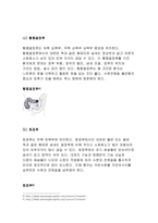 [성인간호학]결장암으로 외과적수술과함께 장루형성술을 받은 환자의 수술직후의간호와 회복기간호중재,장루형성술을 받은환자와 가족에게 실시해야할교육내용,어떤 교육방법과 교육매체,도구(성인간호학)-5