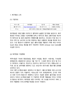 제주항공 경영전략, 마케팅,서비스전략연구및 제주항공의 향후전략연구-3