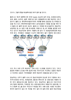 세븐일레븐 경영전략과 물류,SCM전략분석및 세븐일레븐 SWOT분석과 향후전략제안-10