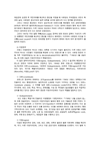 비교행정론3D) 대통령 중심제인 프랑스의 관료제에 대하여 설명하시오0k-3