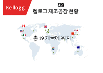 켈로그 기업분석과 켈로그 글로벌마케팅(인도) 전략사례분석과 켈로그 향후전망분석 PPT(발표 스피치대본 첨부)-10
