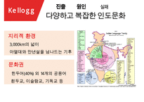 켈로그 기업분석과 켈로그 글로벌마케팅(인도) 전략사례분석과 켈로그 향후전망분석 PPT(발표 스피치대본 첨부)-15