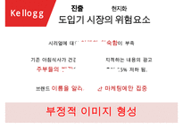 켈로그 기업분석과 켈로그 글로벌마케팅(인도) 전략사례분석과 켈로그 향후전망분석 PPT(발표 스피치대본 첨부)-17