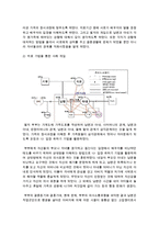 [가족상담및치료] 경험적 가족 치료 모델의 치료 기법을 조사하여 정리 하시오-6