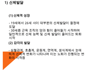 인간발달 - 성인전기 PPT-5