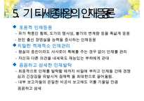 [세종대왕] 세종대왕의리더십, 세종대왕의역사, 세종대왕의정치, 세종대왕의사회, 세종대왕의경제, 세종대왕의문화, 세종대왕의인재등용론-14