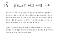 국내 및 해외기업의 해외진출 성공 및 실패사례-20