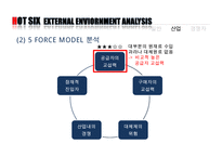 핫식스 제품분석과 SWOT분석및 핫식스 현재 마케팅전략분석및 핫식스 향후 국내외 마케팅전략 제안 PPT-10
