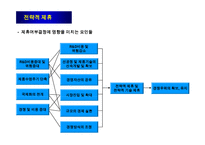 전략적 제휴의 유형과 성공적인 제휴방법-17