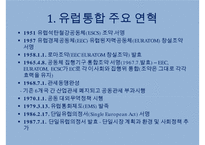 유럽통합과 EU의 구조-3