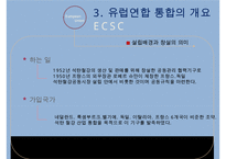 유럽통합과 EU의 구조-8