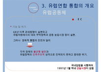 유럽통합과 EU의 구조-15