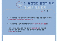유럽통합과 EU의 구조-16