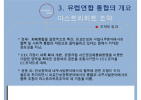 유럽통합과 EU의 구조-17