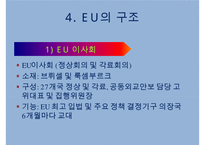유럽통합과 EU의 구조-20